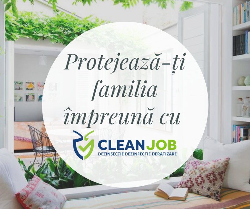 Clean Job - Firma Dezinsectie, Dezinfectie, Deratizare